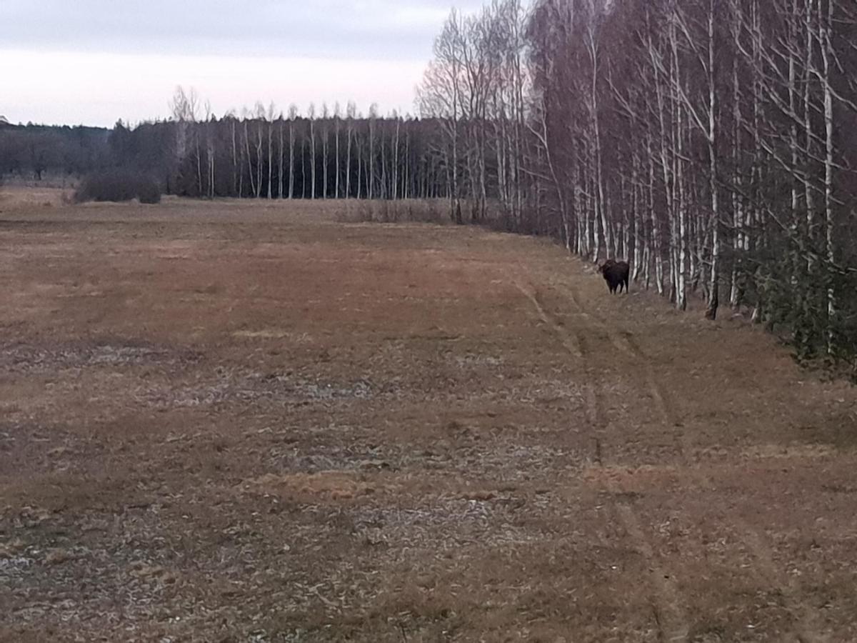 Ciche Podlasie Семянувка Экстерьер фото